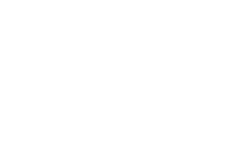 Iris-アイリスのロゴ